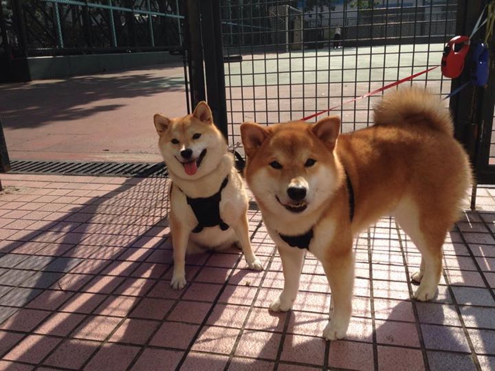 76人教练团队设置小组战术讨论提升参与感，76人的教练