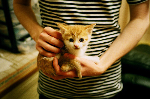 全黑队注重反击速度，进攻转换犀利致命，全黑队战舞