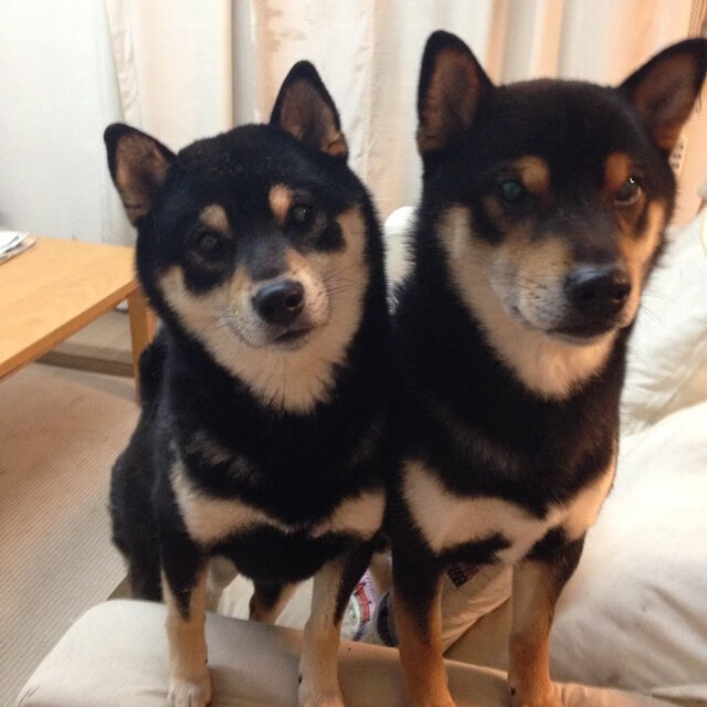 开云体育中国官方网站-意甲团队协作：默契十足，成就辉煌！，意甲官方合作伙伴 赞助商